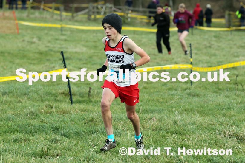 Boys under-13s cross country, 2019 North Eastern Cross Country Champs., Alnwick, Northumberland.  Photo: David T. Hewitson/Sports for All Pics
